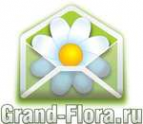 Логотип компании Доставка цветов Гранд Флора (ф-л г.Дзержинск)
