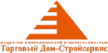 Логотип компании Торговый Дом-Стройсервис