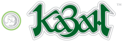 Логотип компании Казан
